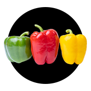 icon png