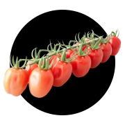 icon png
