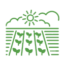 icon png