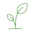 icon png